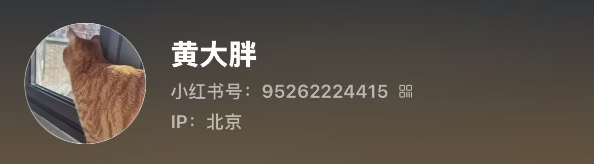 小红书: 黄大胖